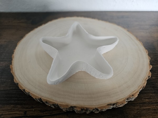 Seesternschälchen