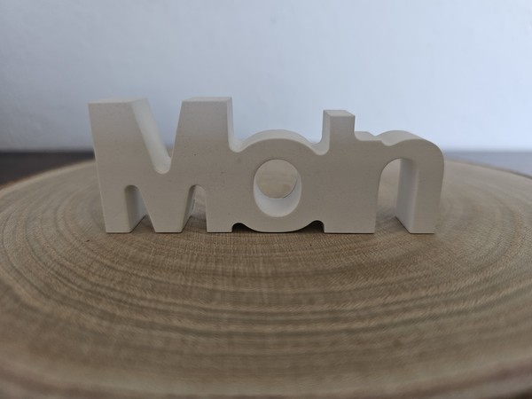 Schriftzug Moin